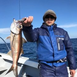 へいみつ丸 釣果