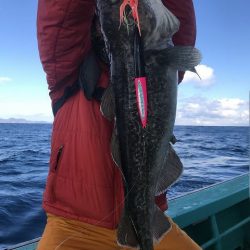 広進丸 釣果