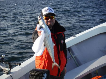 遊漁船 遊友 釣果