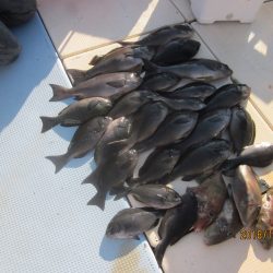 第十八吉栄丸 釣果