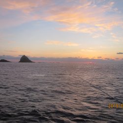 第十八吉栄丸 釣果