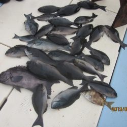 第十八吉栄丸 釣果