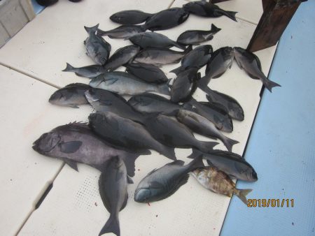 第十八吉栄丸 釣果