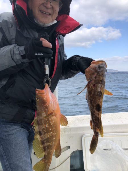 リトルワン 釣果