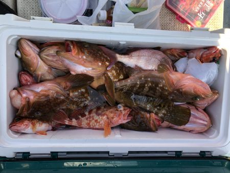 リトルワン 釣果