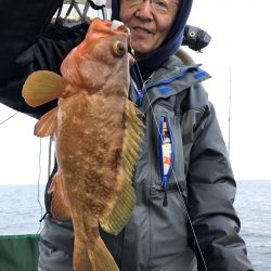 リトルワン 釣果