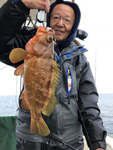 リトルワン 釣果