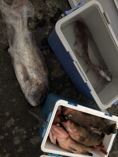 リトルワン 釣果