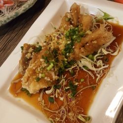 リトルワン 釣果