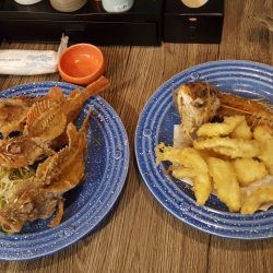 リトルワン 釣果