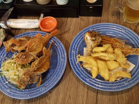 リトルワン 釣果