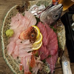 リトルワン 釣果