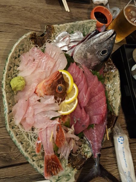 リトルワン 釣果