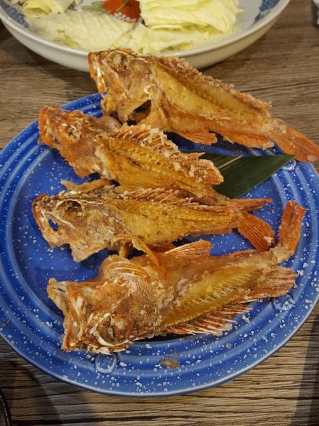 リトルワン 釣果