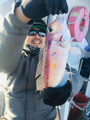 シーモンキー 釣果