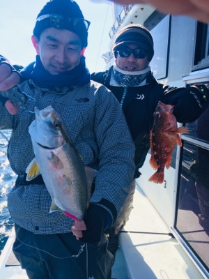 シーモンキー 釣果