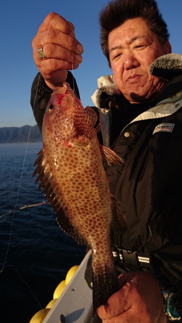 海晴丸 釣果