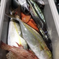 たいし丸 釣果