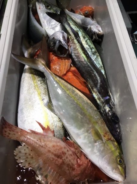 たいし丸 釣果
