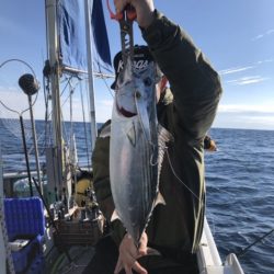 たいし丸 釣果
