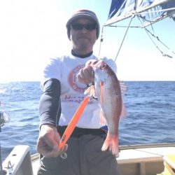 たいし丸 釣果