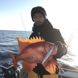 たいし丸 釣果