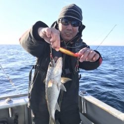 たいし丸 釣果