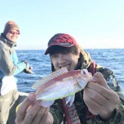 たいし丸 釣果