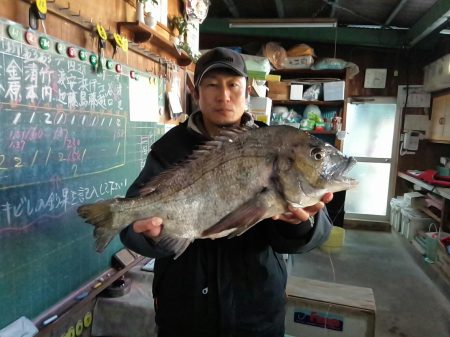 ふじや釣舟店 釣果