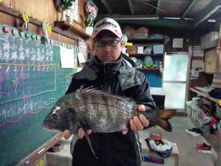 ふじや釣舟店 釣果