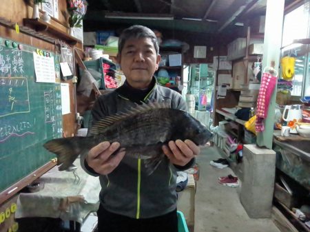ふじや釣舟店 釣果