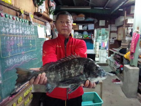 ふじや釣舟店 釣果