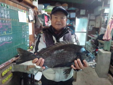 ふじや釣舟店 釣果