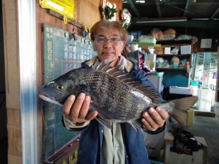 ふじや釣舟店 釣果