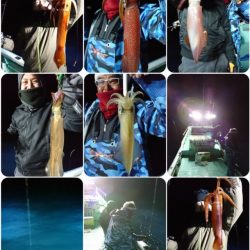 シードリーム 釣果