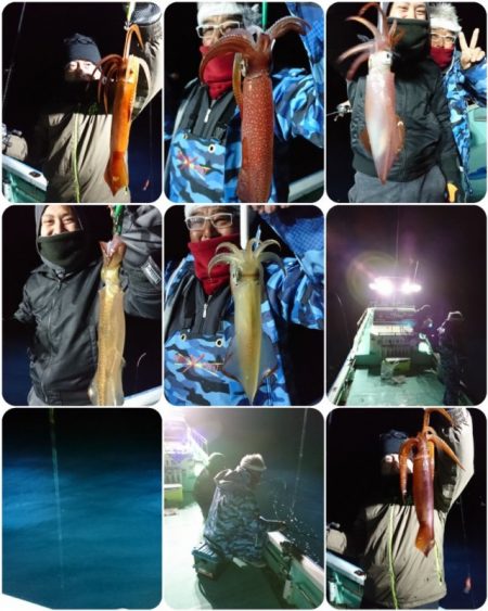 シードリーム 釣果