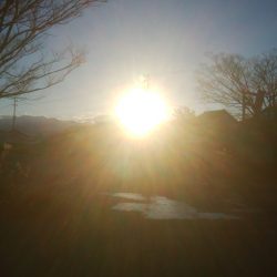 富山・初日の出を海から拝む元旦釣行で『福来魚（ふくらぎ）』【きた氏連載 vol.5】