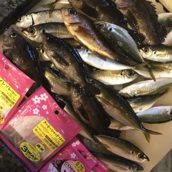 宵姫で狙うアジメバルin鳴門 がまかつLUXXE宵姫アジング・メバリングレポート