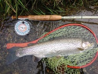 秩父フライフィールド 釣果