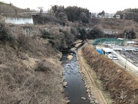 秩父フライフィールド 釣果