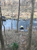 秩父フライフィールド 釣果