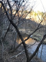 秩父フライフィールド 釣果