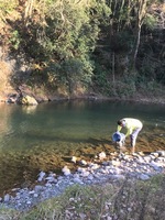 秩父フライフィールド 釣果