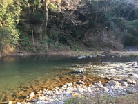 秩父フライフィールド 釣果