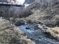 秩父フライフィールド 釣果