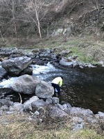 秩父フライフィールド 釣果