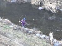 秩父フライフィールド 釣果