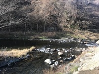 秩父フライフィールド 釣果