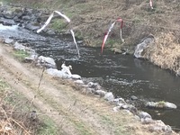 秩父フライフィールド 釣果