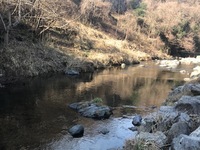 秩父フライフィールド 釣果